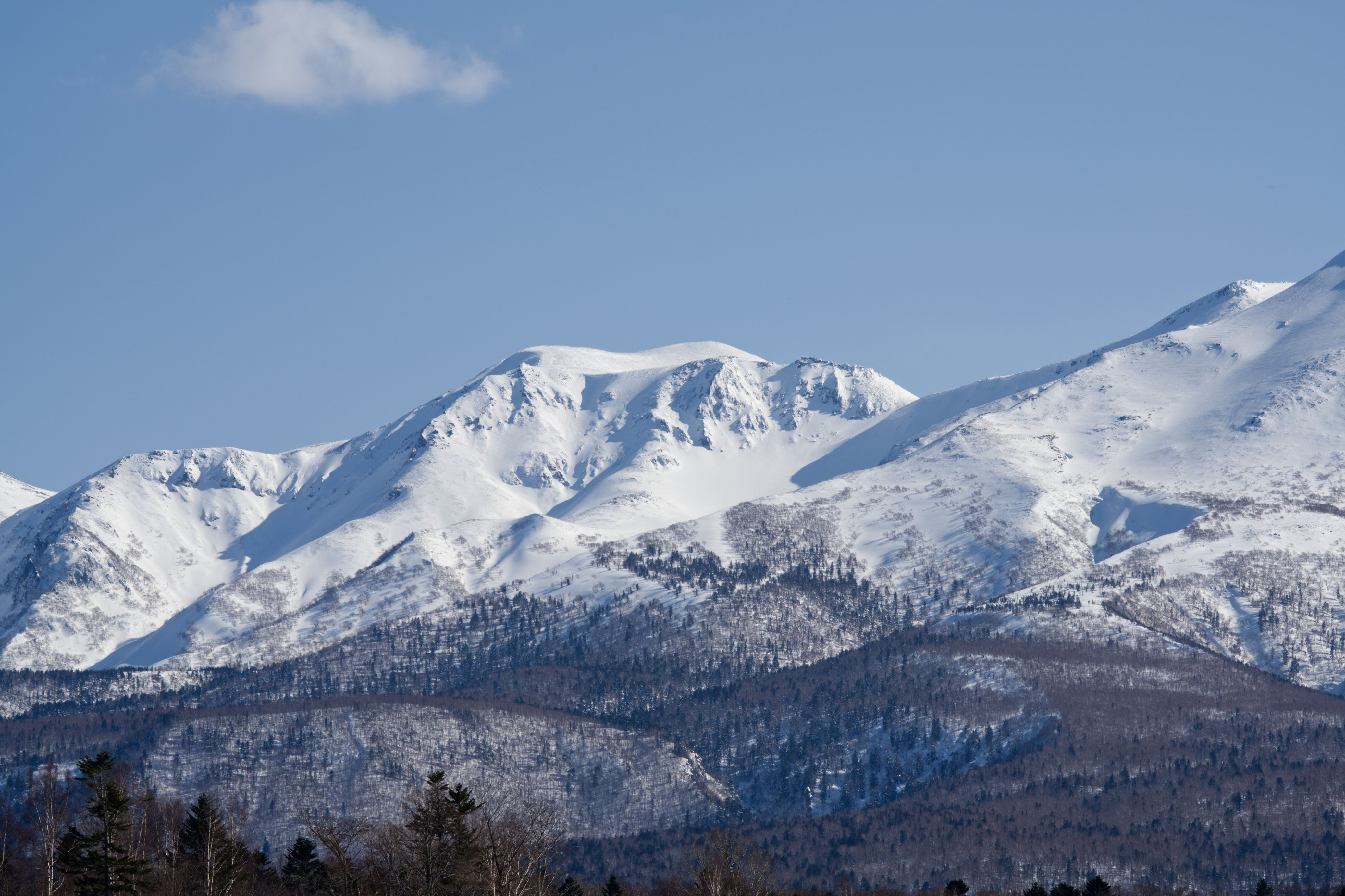 Snow & Hokkaido Experience